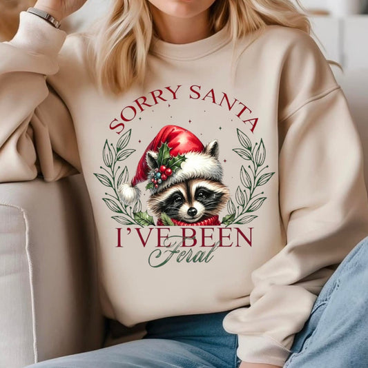 Sorry Santa